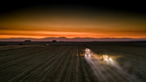 2019 Harvest 21